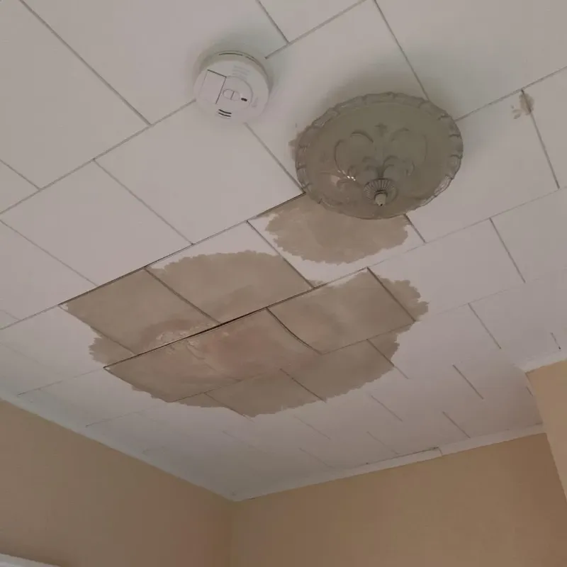 Ceiling Water Damage Repair in Hubbard, OH