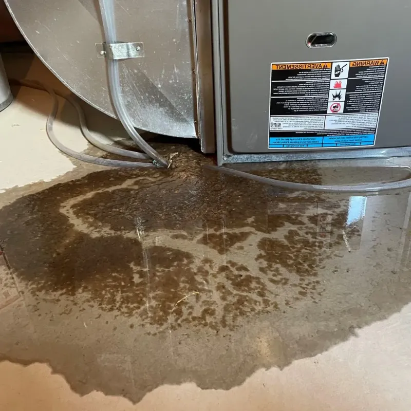 Pipe Burst and Leak Restoration in Hubbard, OH