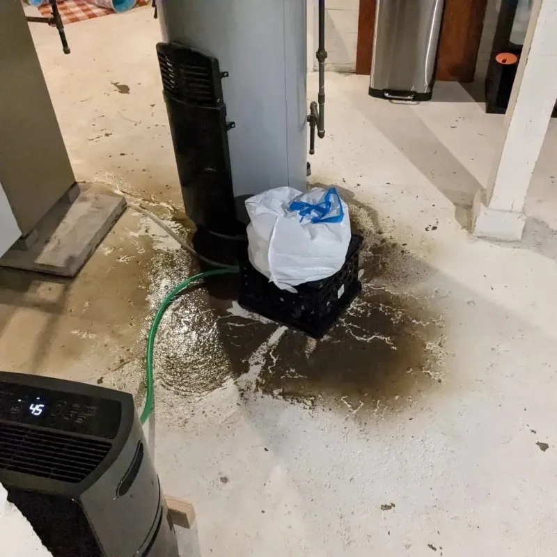 Sewage Backup Cleanup Service in Hubbard, OH